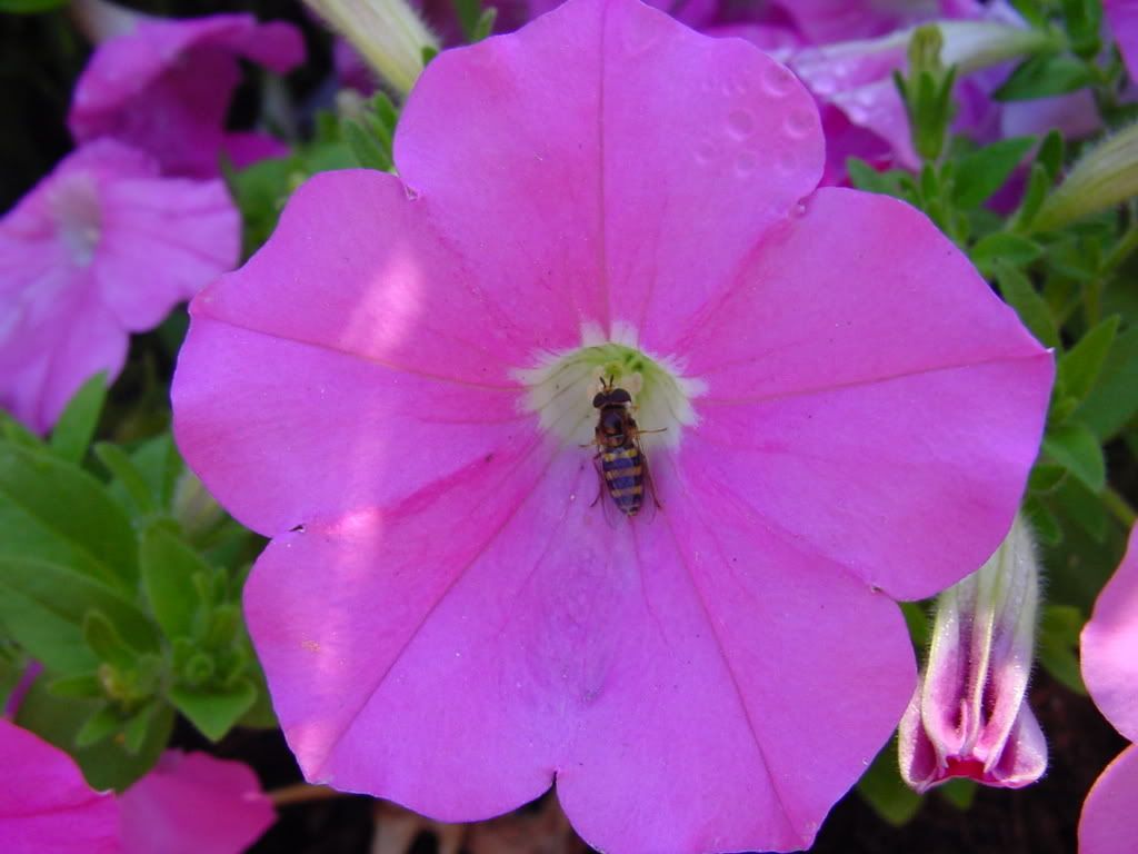 [PokeCommunity.com] My Nature Photography...check it out. :]