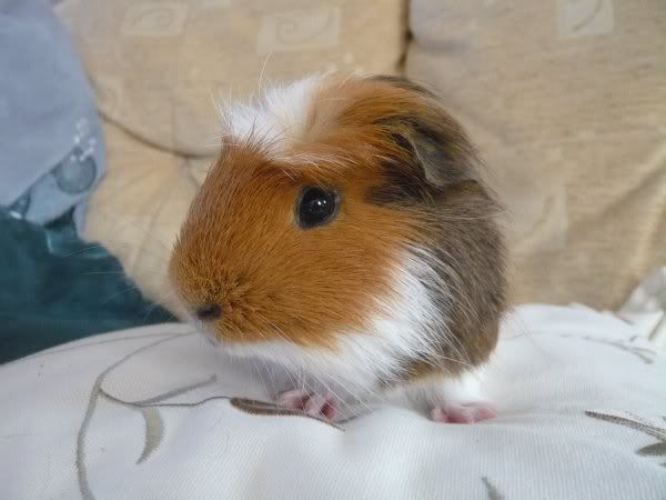 Alan-03.jpg