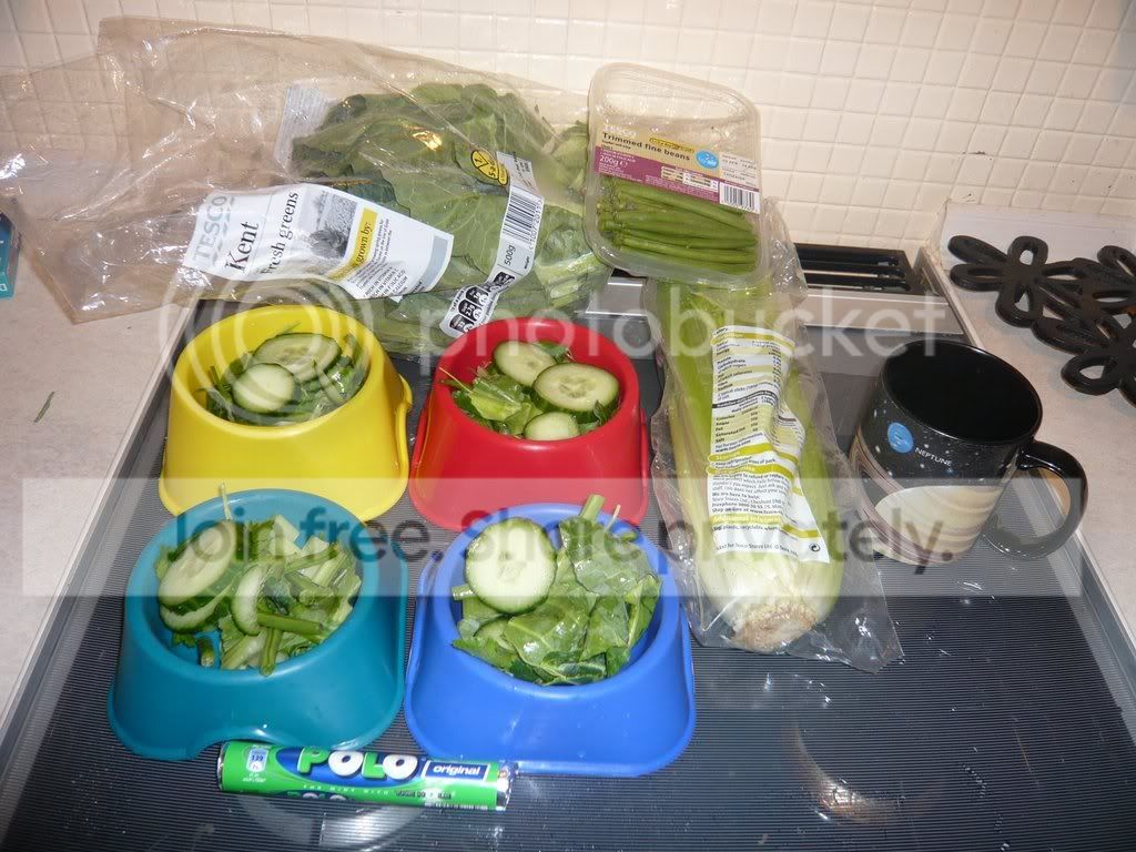 food1.jpg